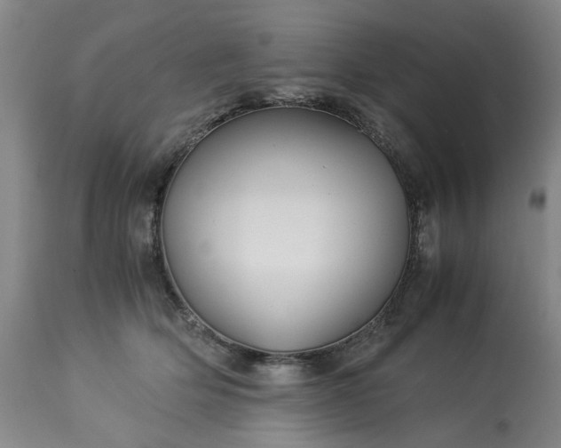 X0000113250514200909241614