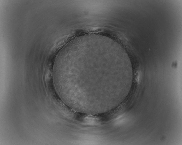 X0000113250515200909241614