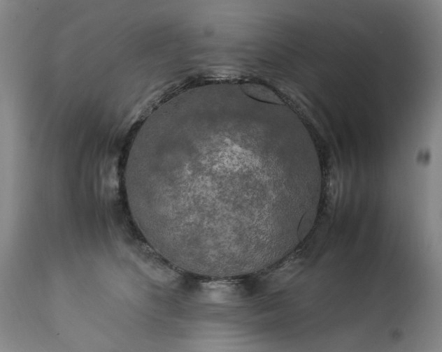 X0000113250516200909241614