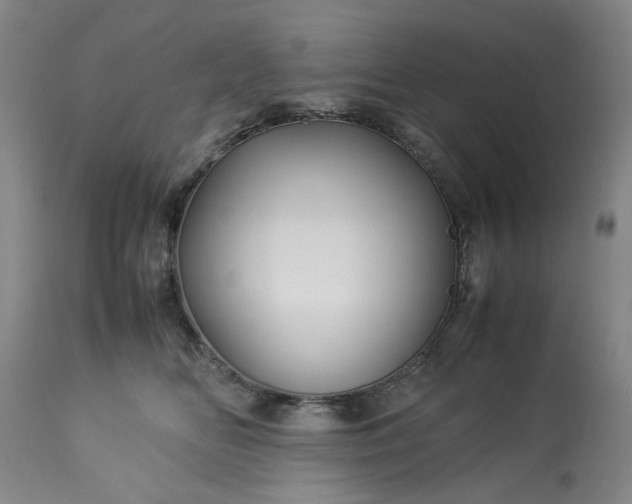 X0000113250518200909241614