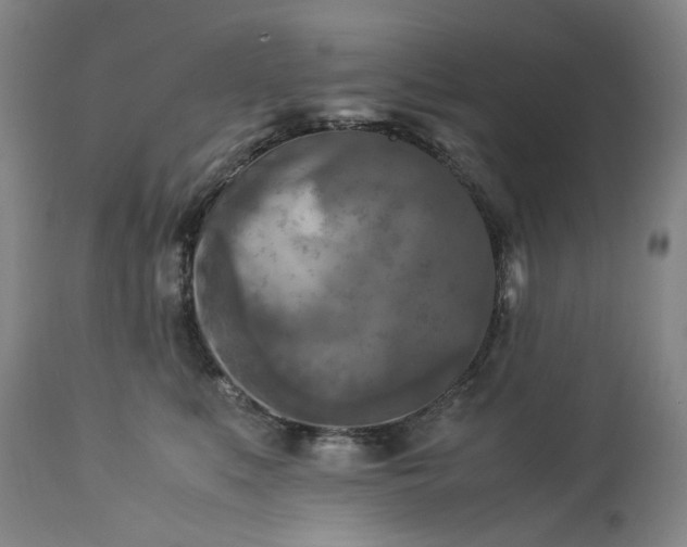 X0000113250519200909241614