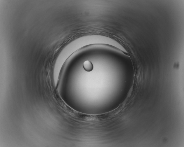 X0000113250520200909241614