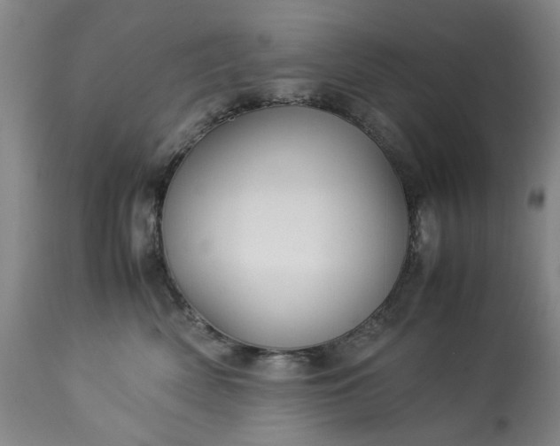 X0000113250522200909241614