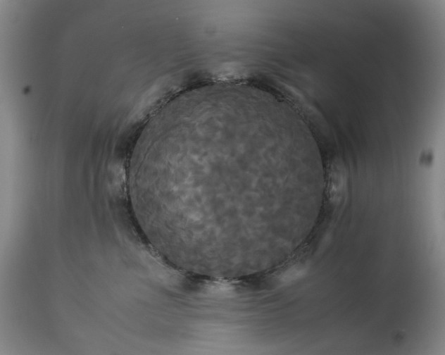 X0000113250523200909241614