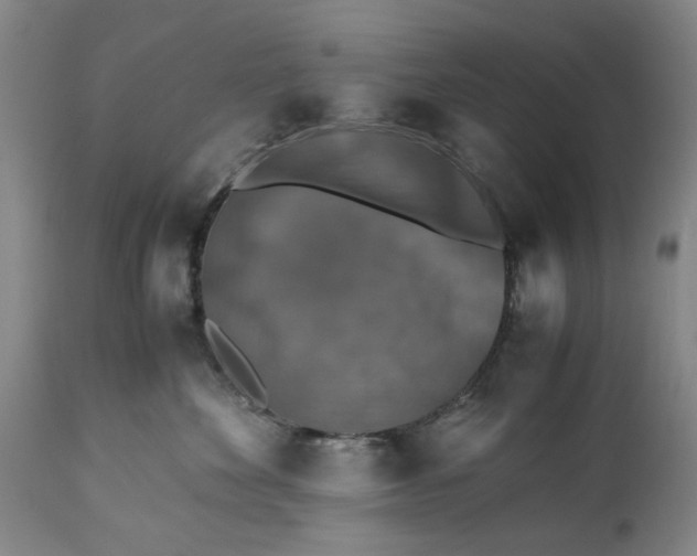 X0000113250524200909241614