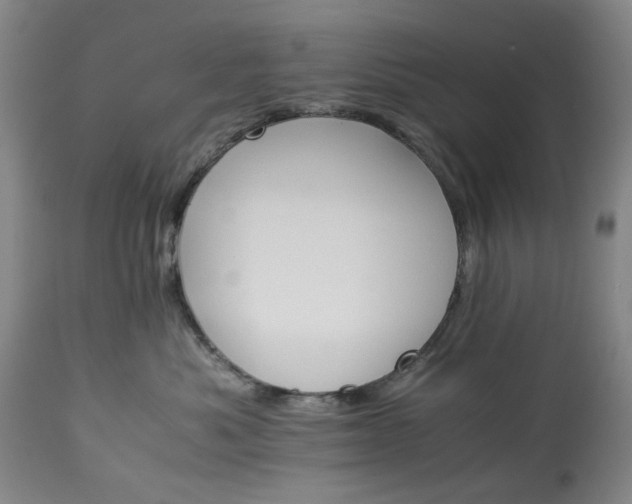 X0000113250525200909241614