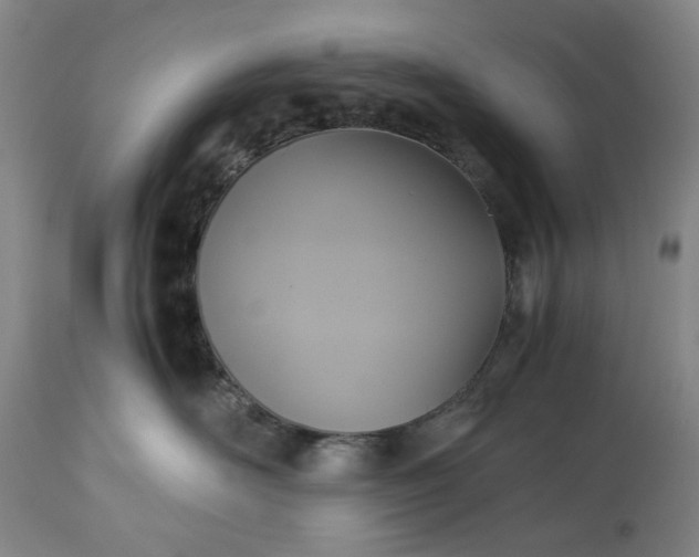 X0000113250526200909241614