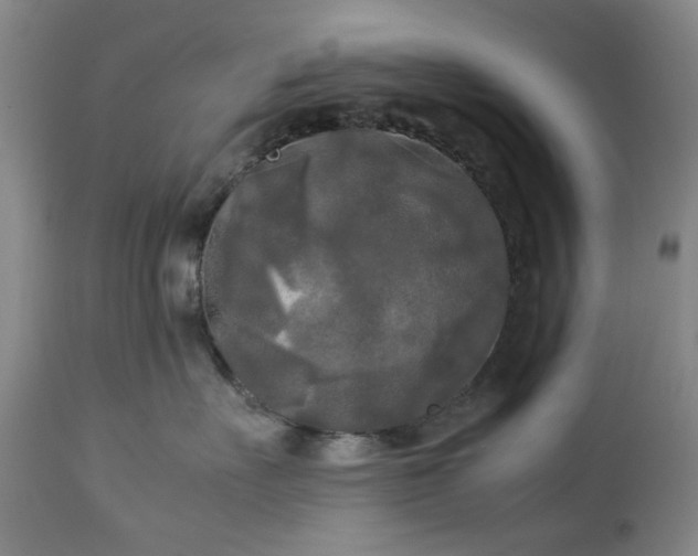 X0000113250527200909241614