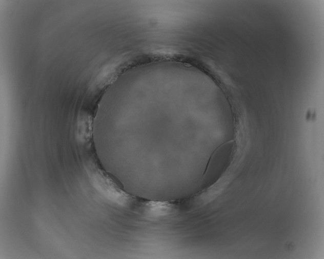 X0000113250528200909241614