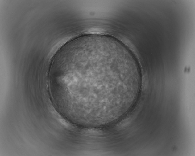 X0000113250529200909241613