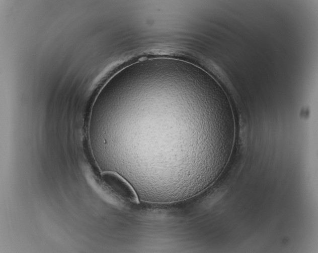 X0000113250530200909241613