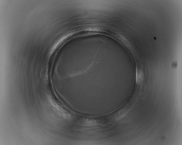 X0000113250531200909241613