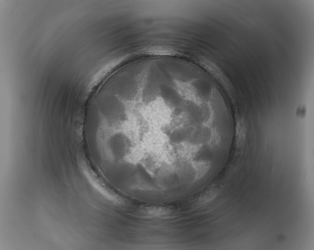 X0000113250533200909241613