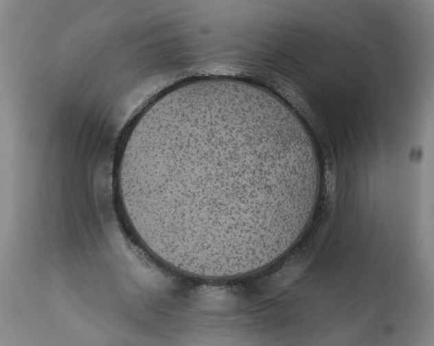 X0000113250534200909241614