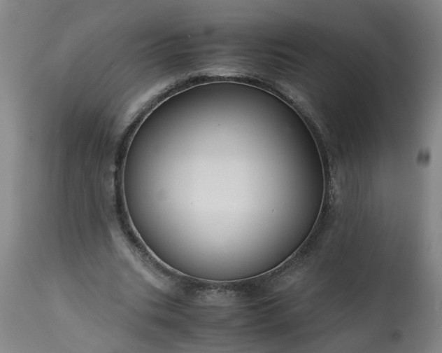 X0000113250535200909241614