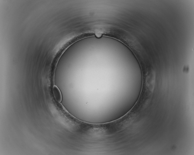 X0000113250536200909241614