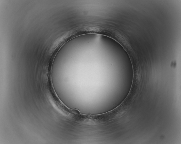 X0000113250538200909241614