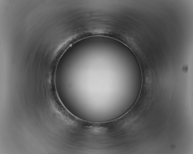 X0000113250539200909241614