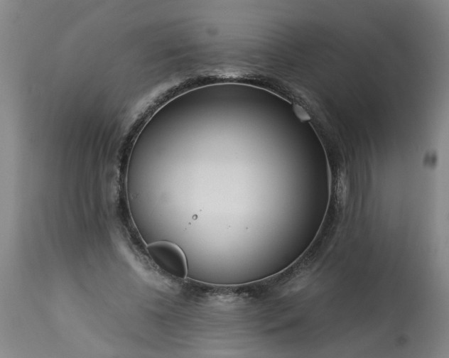 X0000113250540200909241614