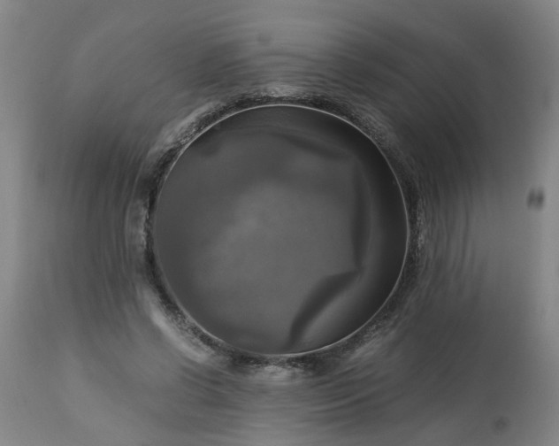 X0000113250542200909241614