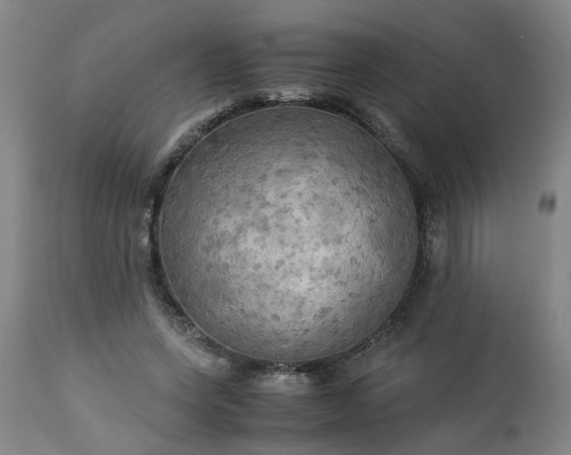 X0000113250543200909241614