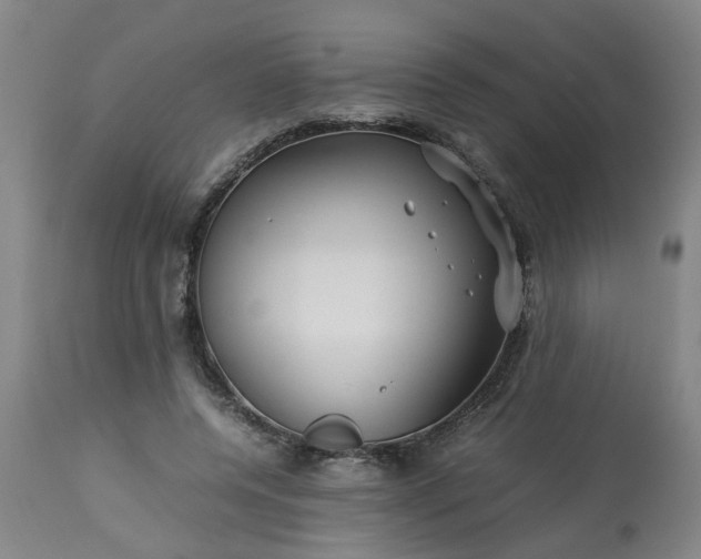 X0000113250544200909241614