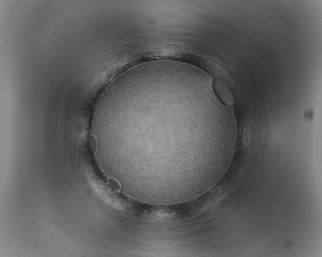 X0000113250546200909241614