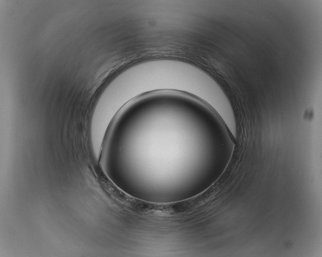 X0000113250548200909241614