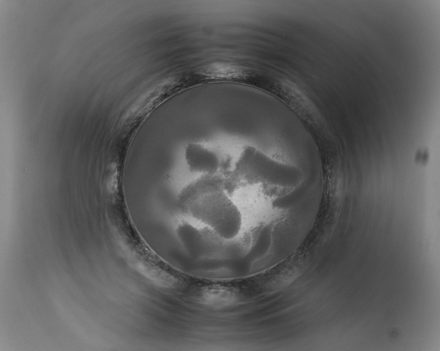 X0000113250549200909241614