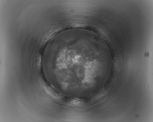 X0000113250550200909241614