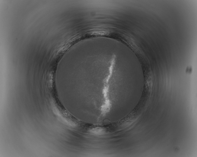 X0000113250551200909241614