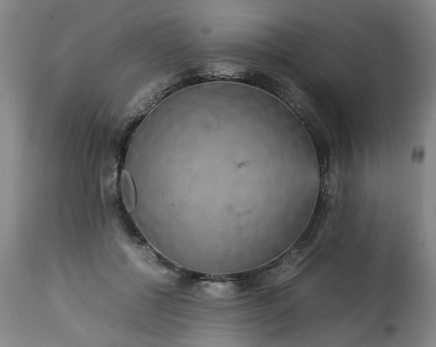 X0000113250552200909241614