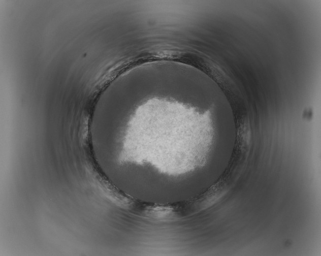 X0000113250554200909241614