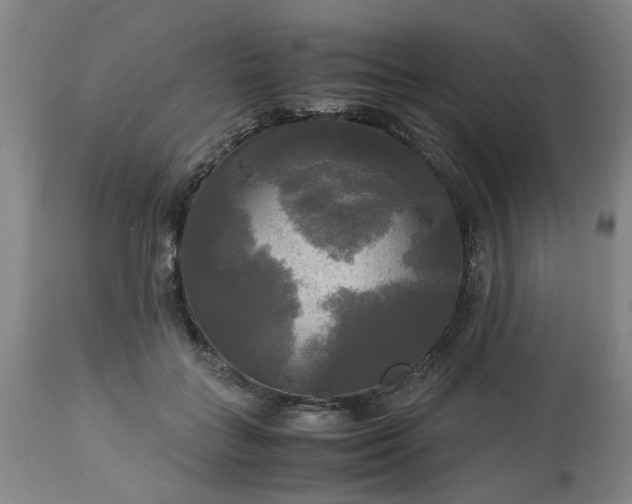 X0000113250555200909241614