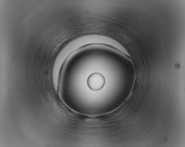 X0000113250556200909241614