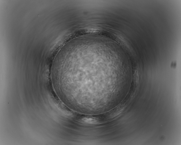 X0000113250557200909241614