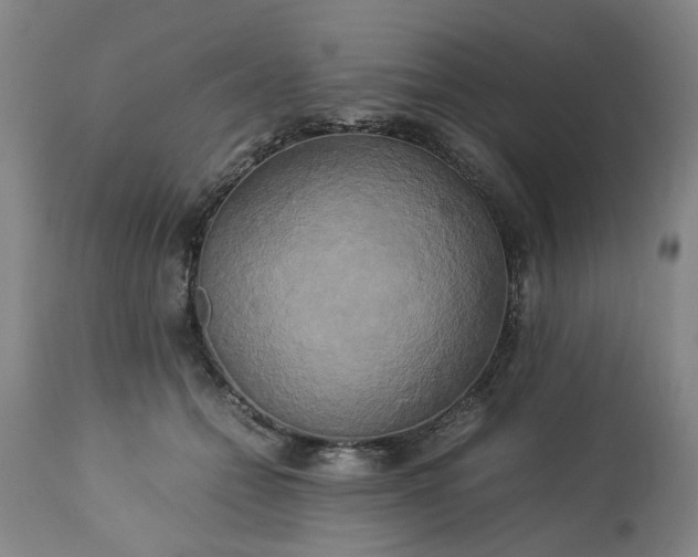 X0000113250558200909241614