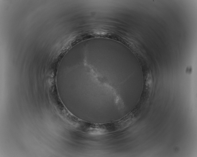 X0000113250559200909241614