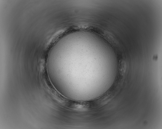 X0000113250563200909241614