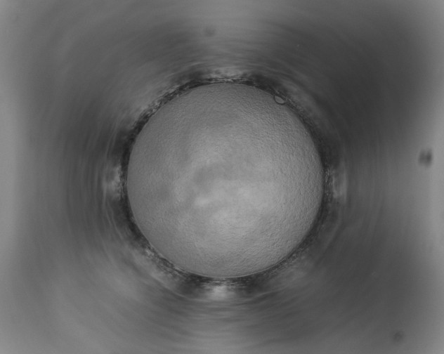 X0000113250564200909241614