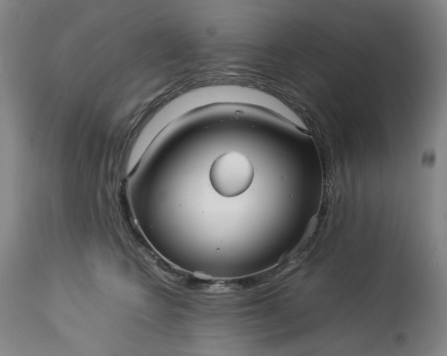 X0000113250566200909241614