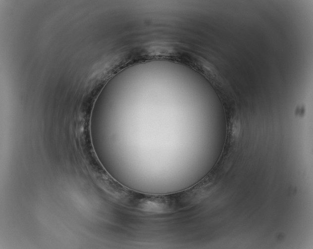 X0000113250567200909241614