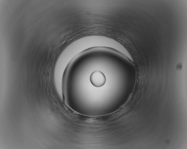 X0000113250568200909241614