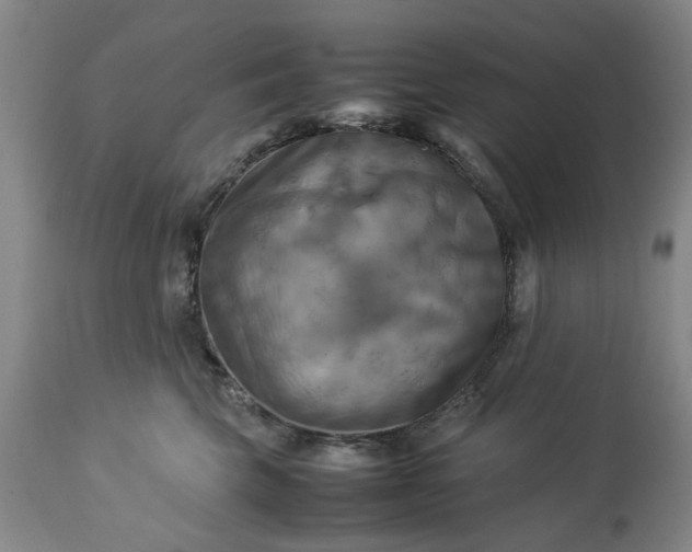 X0000113250569200909241614