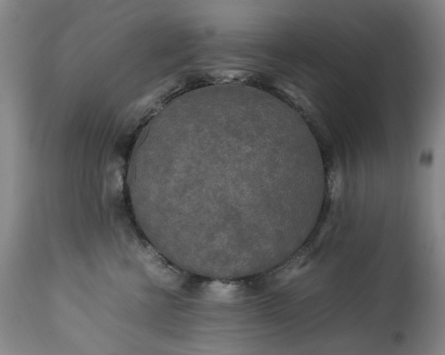 X0000113250570200909241614