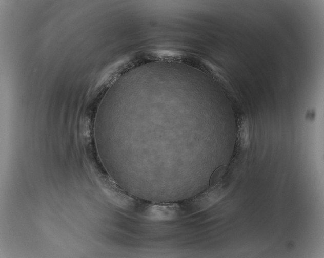 X0000113250571200909241614