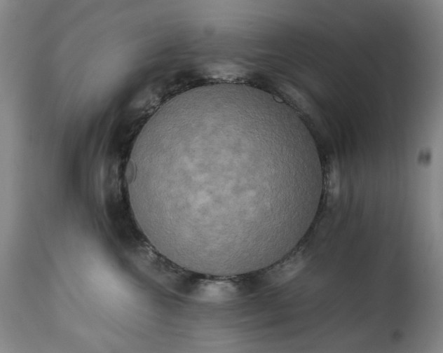 X0000113250572200909241614