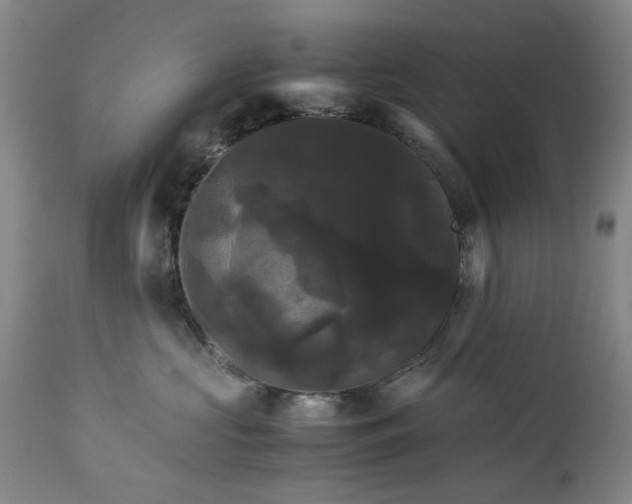 X0000113250573200909241614