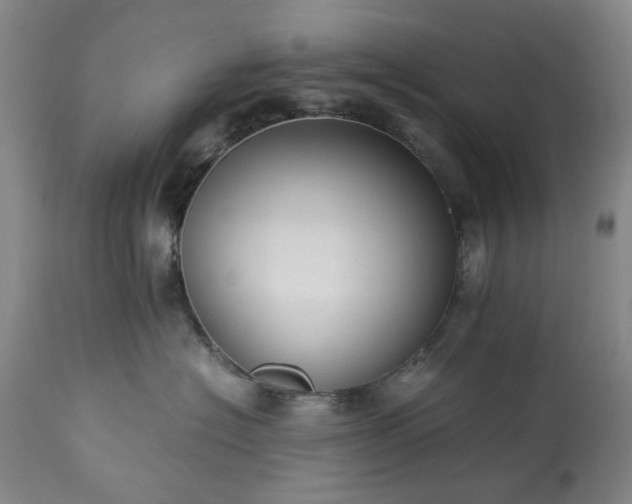 X0000113250574200909241614