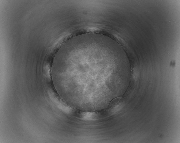 X0000113250575200909241614